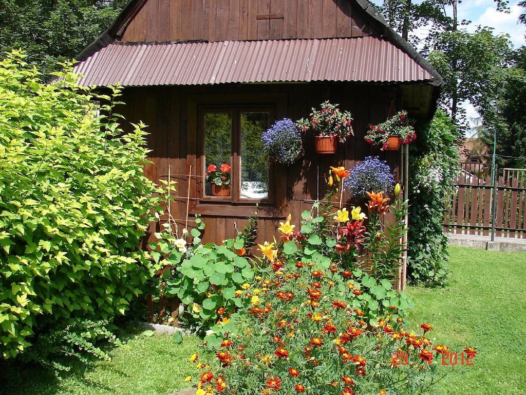 Modrzew Apartment Zakopane Exterior foto